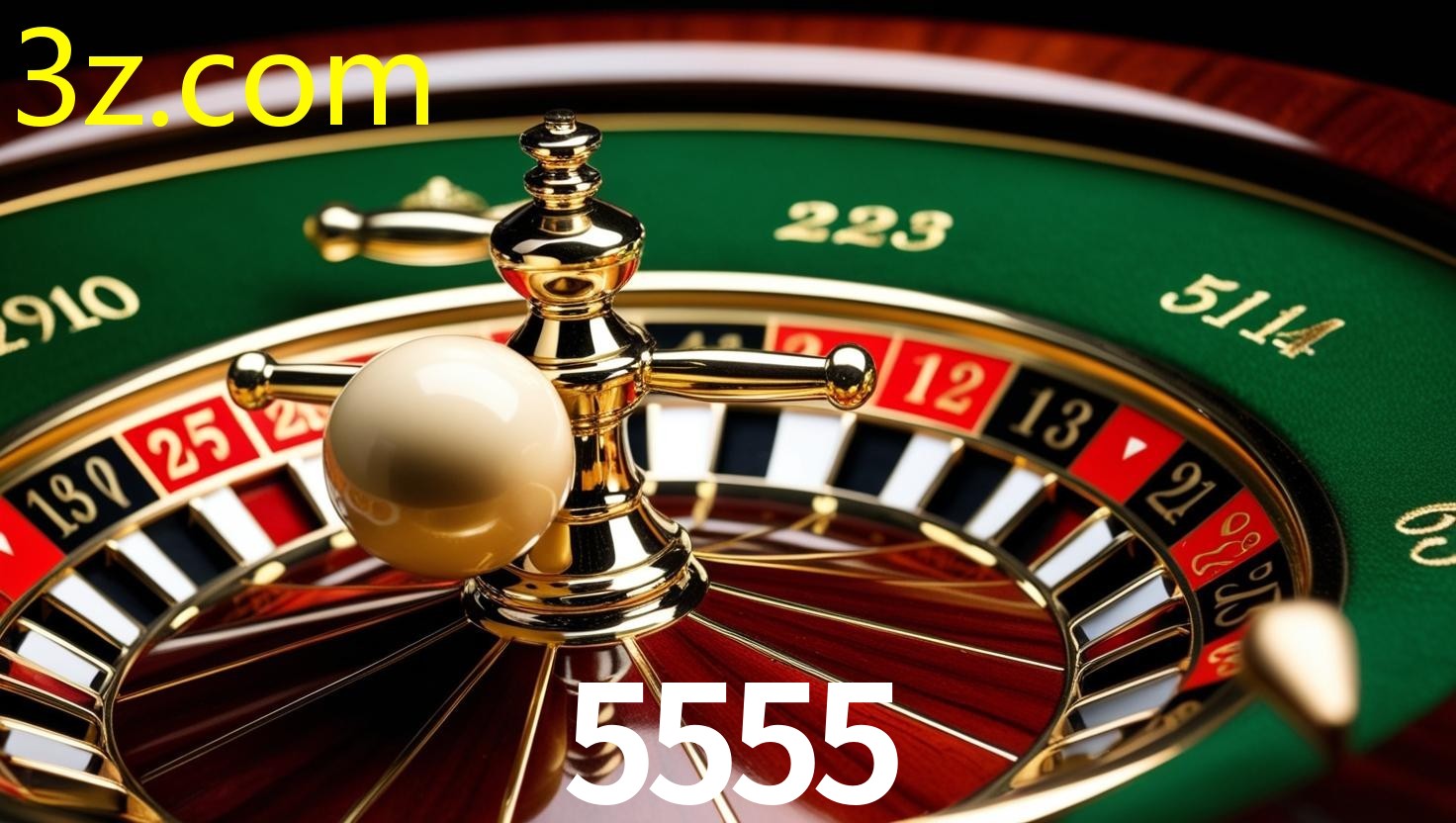 5555.COM
