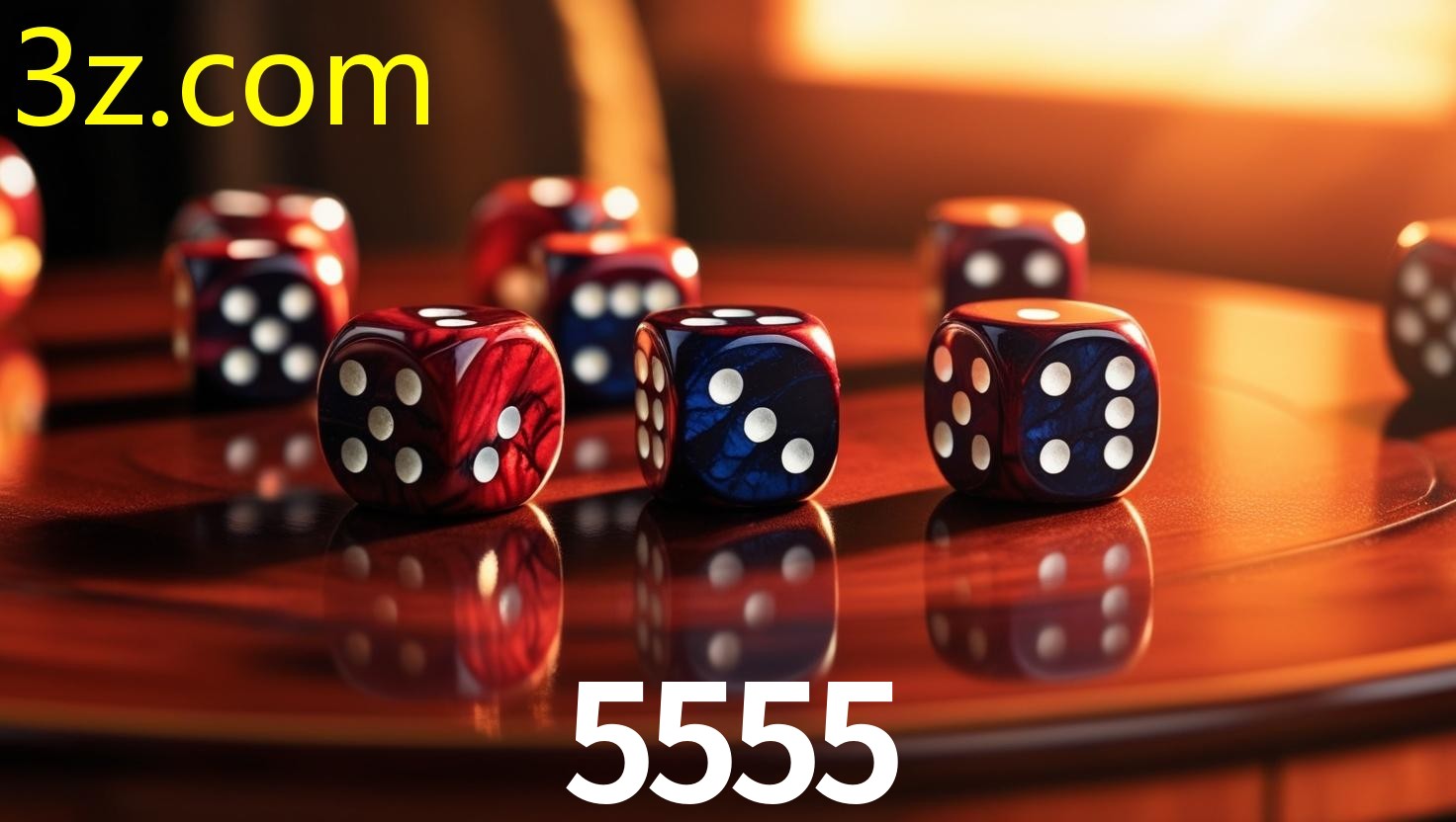 5555.COM