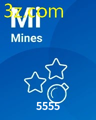 5555.COM