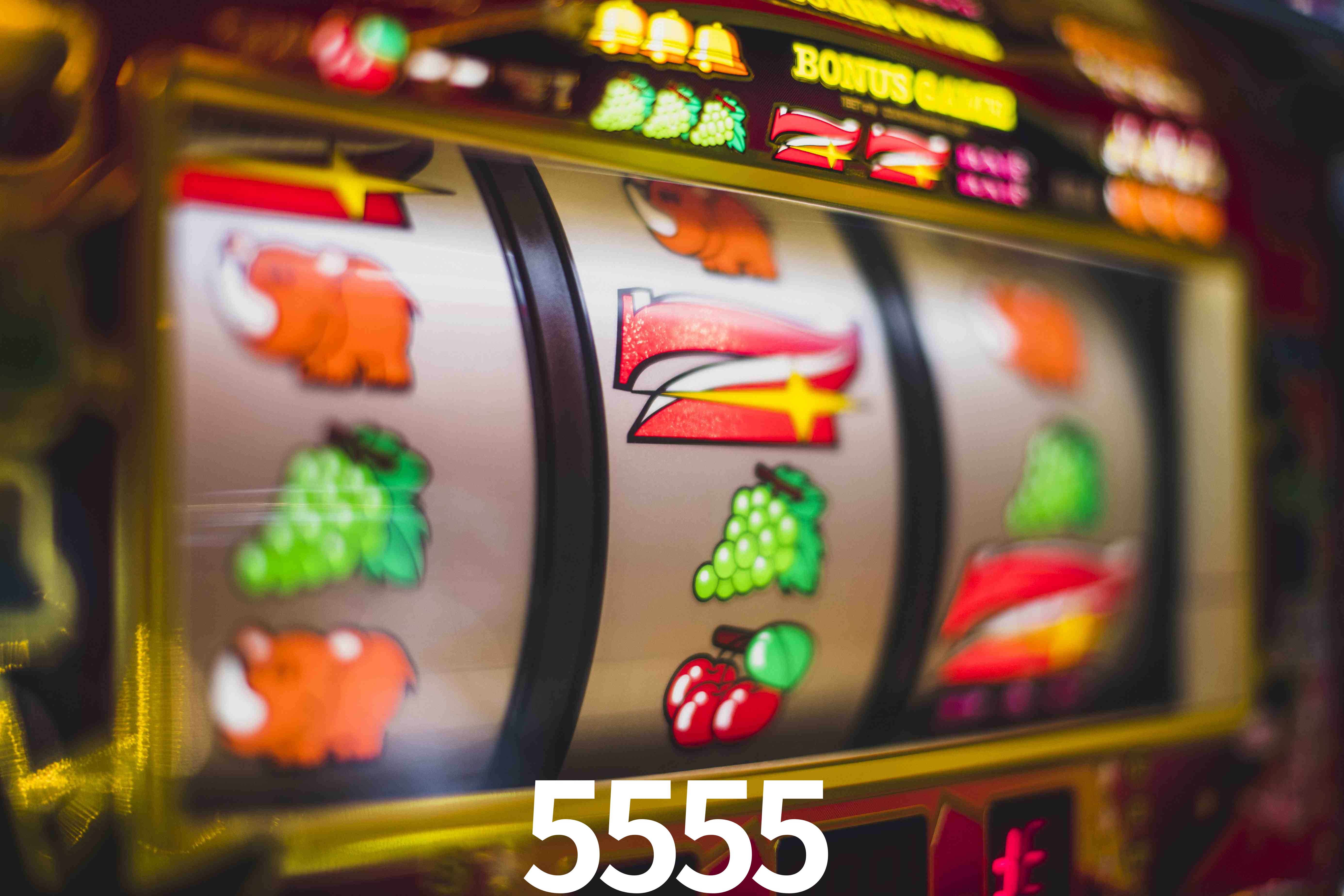 Roulette Table 5555